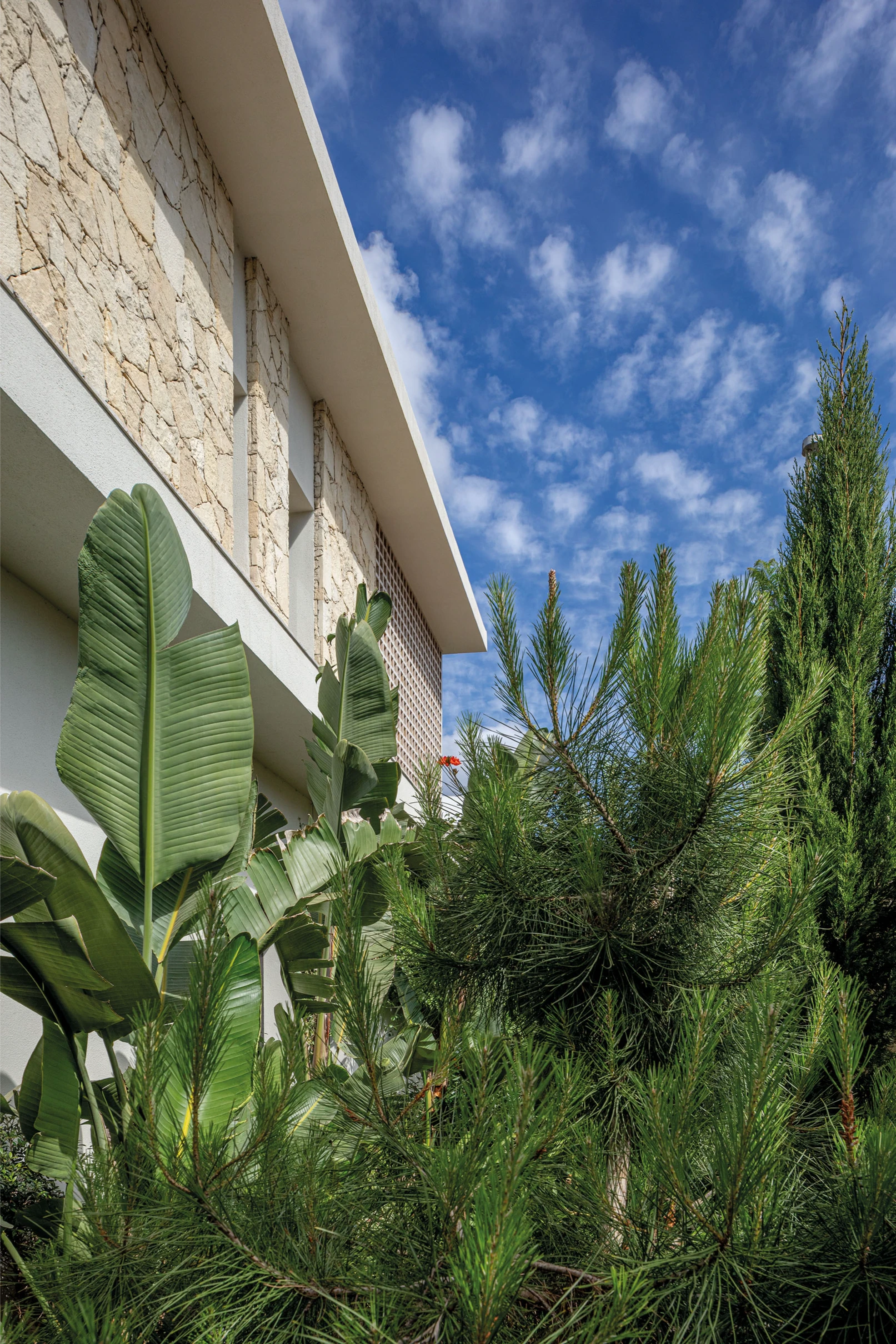 Villa S